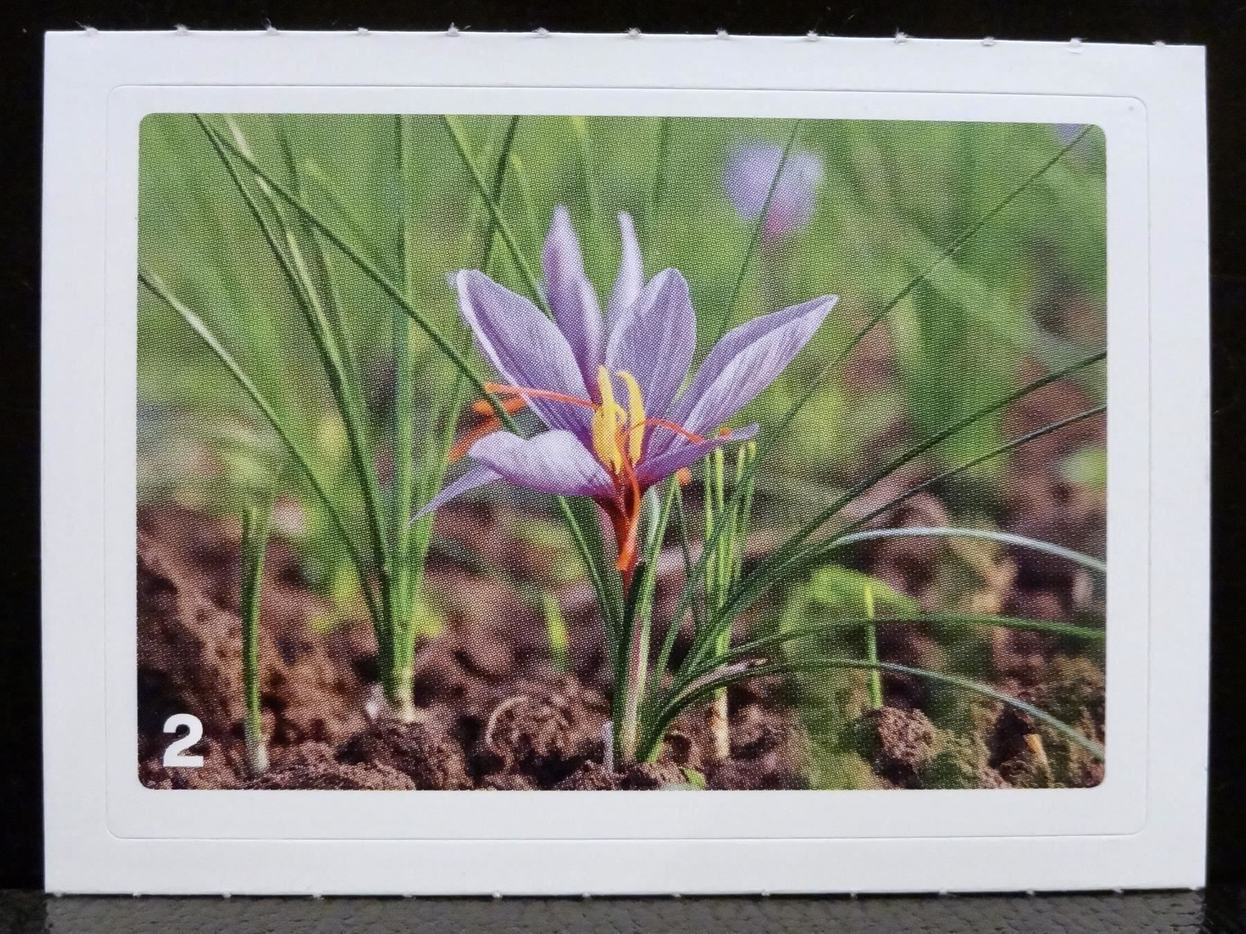 Migros Sammelbilder & Trading cards: MIGROS MANIA Nature Detectives Nr. 2 – Gebraucht aus Kerzers von zimmergruen