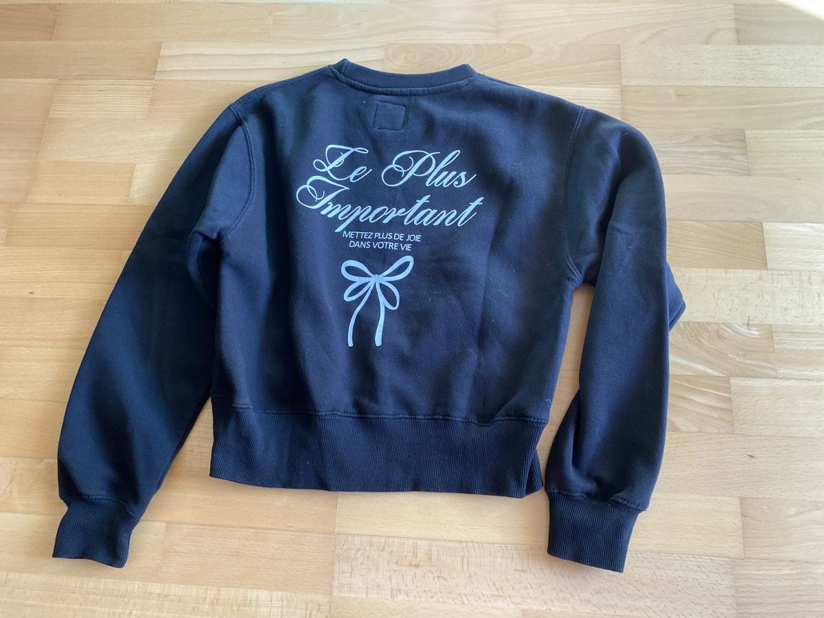 Zara Pulls et sweat-shirts: Pulli Gr. 164 – D'occasion à Illnau par Dodo115 1