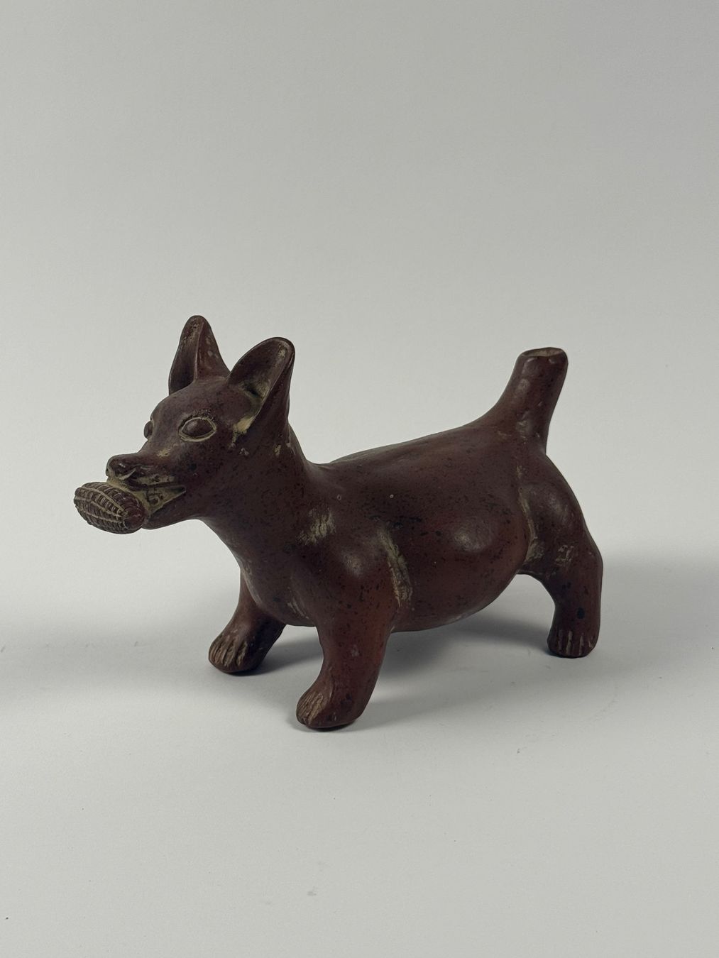 Sculture & Statue: Statuetta cane in terracotta con mais – Usato da Genève venduto da Atelier.Curio 1