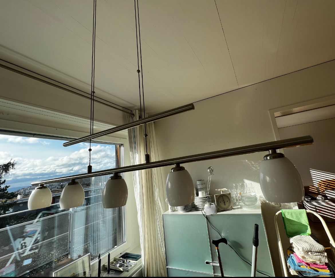 Lampadari & plafoniere: Hängelampe – Usato da Winterthur venduto da Montreal63 1