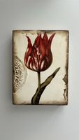 Sid Dickens Memory Block T-98 Scarlet