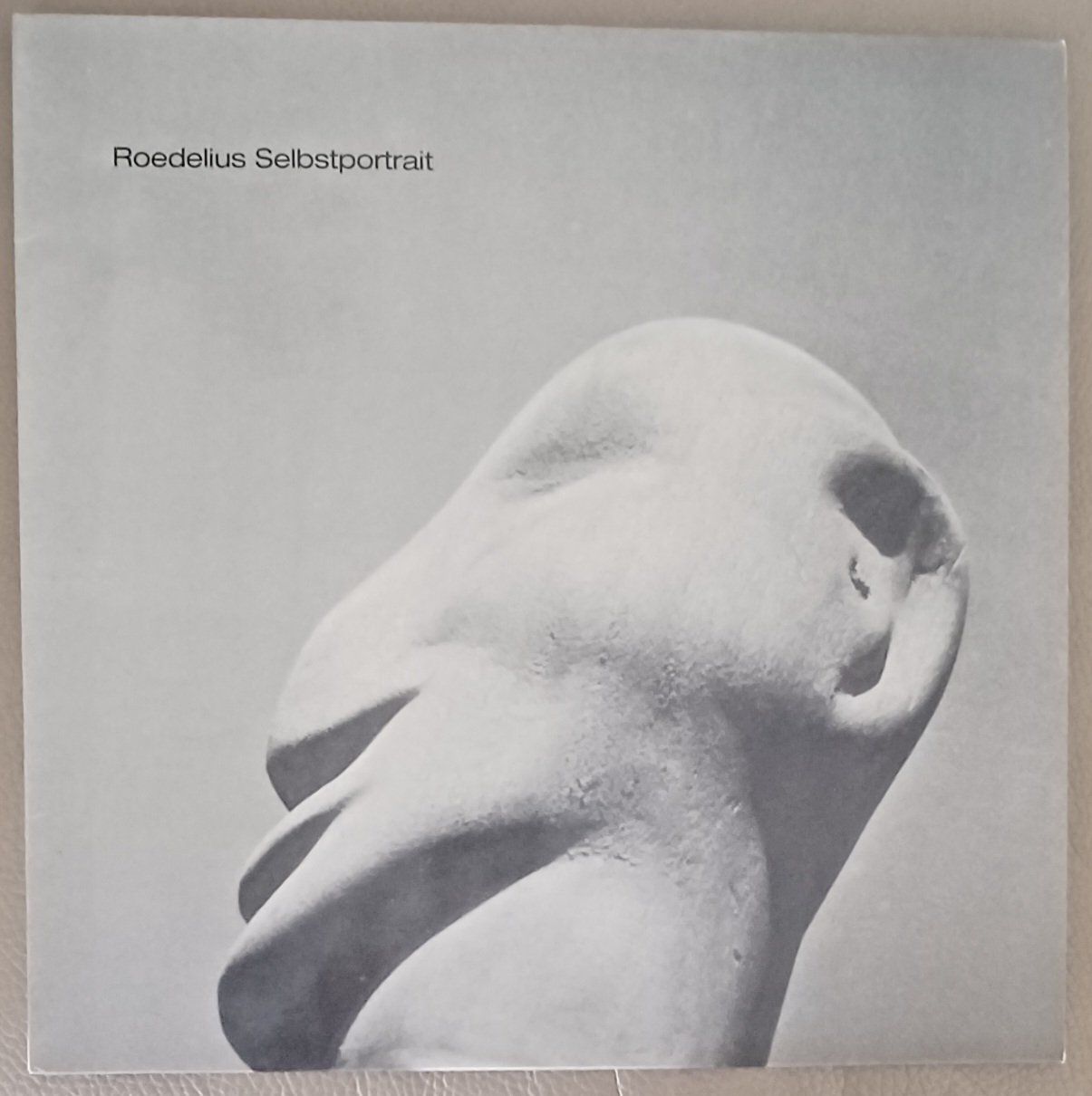 Schallplatten: Roedelius Selbsportrait 1979 Musterplatte SKY 028 Electronic – Neu (gemäss Beschreibung) aus Hägendorf von Plattenhardt