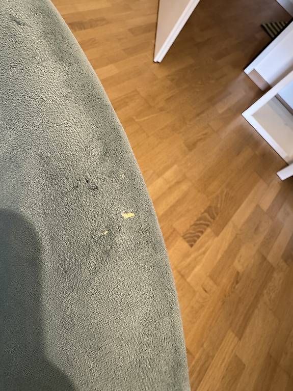Sedie: Esszimmerstühle 6stk Grün – Usato da Ostermundigen venduto da sah_k6vw 4