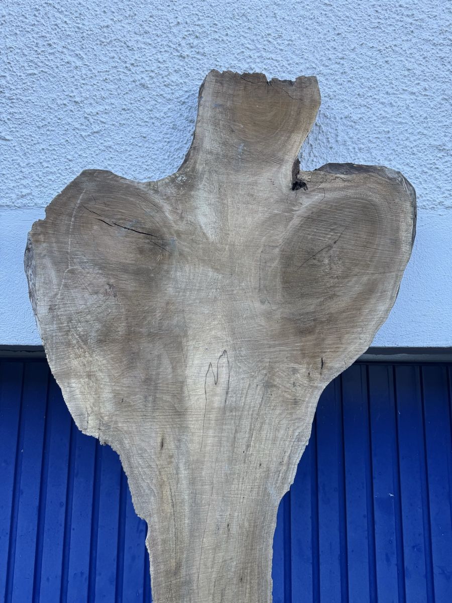 Articoli in legno: Nussbaum Klotzbrett 260  cm lang! – Usato da Gränichen venduto da onkel_xxl 6