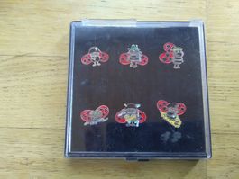 6er Set (Glückskäferli's) Pins im Case