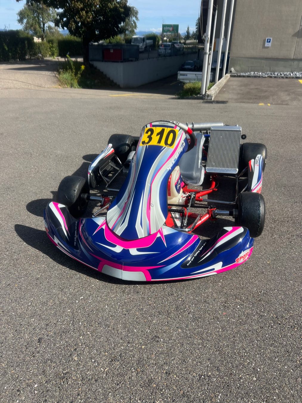 Go-Kart: Rennkart – Usato da Zürich venduto da calhoun 2