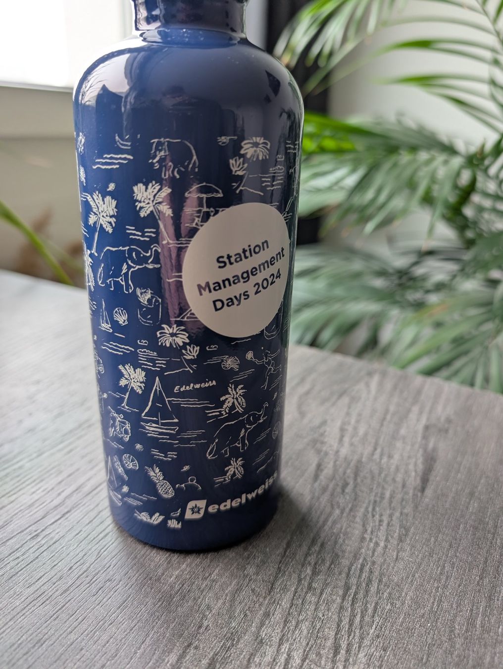 Sigg Trinkflaschen & Thermosflaschen: Metall-Trinkflasche – Gebraucht aus Zürich von Dual-Input 1