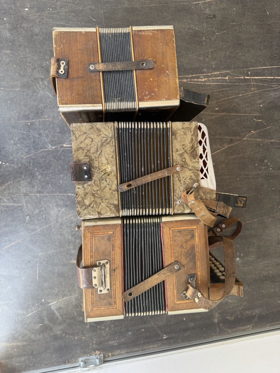 Hohner Musikinstrumente: Hohner  – Gebraucht aus Muhen von MiGeiss64 8