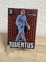 Juventus Michele Di Gregorio 44/50 nm