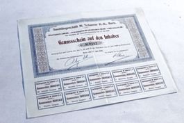Sanitätsgeschäft M. SCAERER A.G. BERN, Inhaber-Genussschein