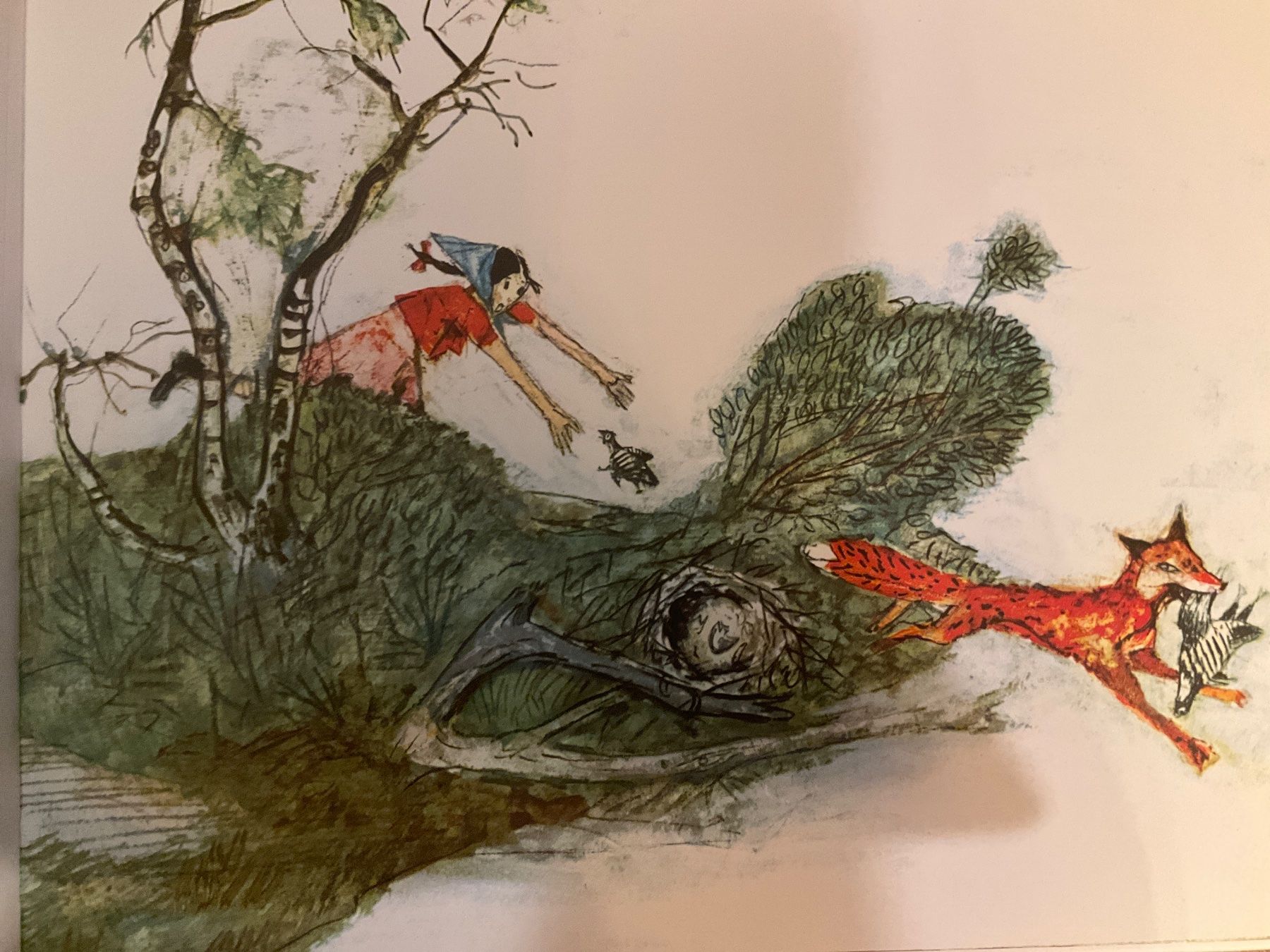 Bücher: Flurina und das Wildvöglein – Gebraucht aus Avenches von Lactobacille 5