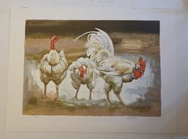 Rolf Gfeller Orig.Farblitografie handsig.  Nr. 76x57cm