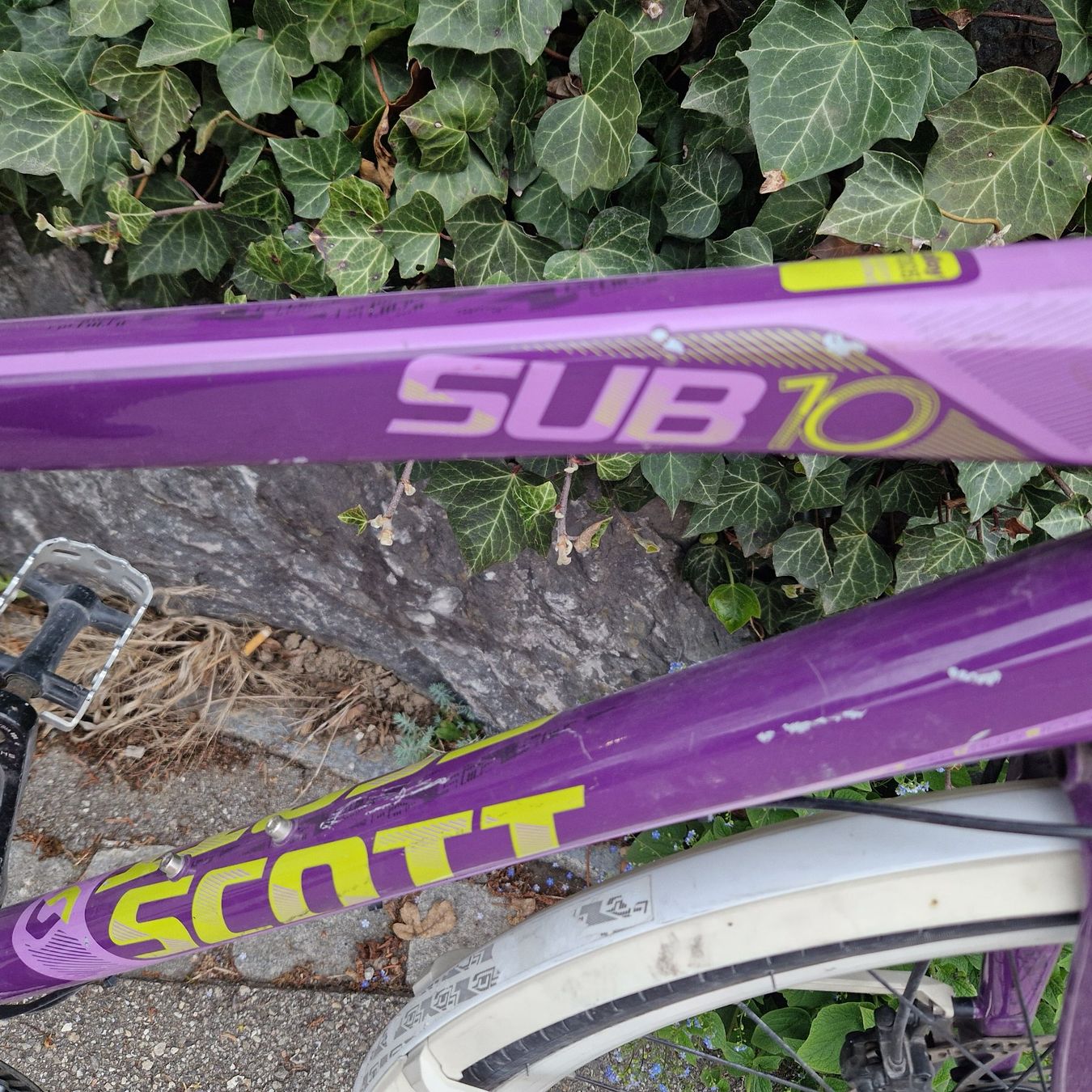 Scott Velos: Scott Sub 10 Damen Velo Nabenschaltung – Gebraucht aus Münsingen von Geeskile 1