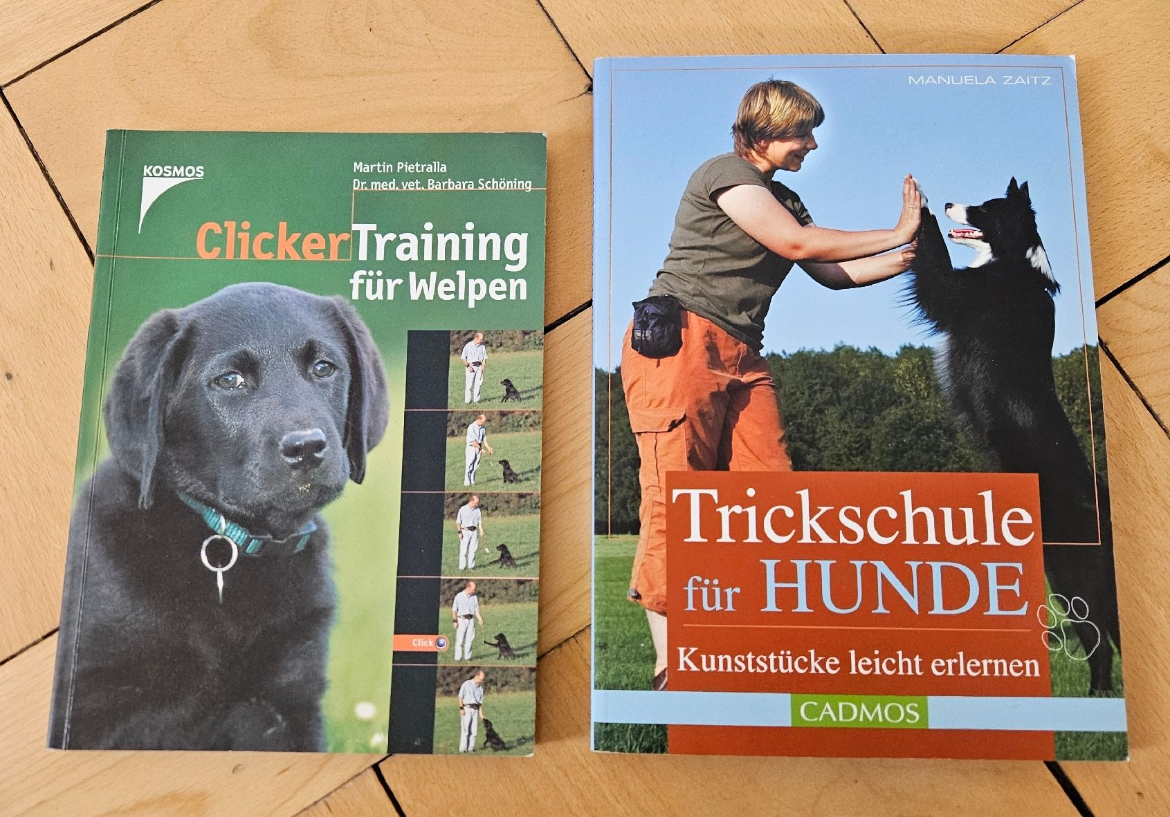 Bücher: Hunde Trickschule und Clickertraining für Welpen – Gebraucht aus St. Gallen von Patrizia0711