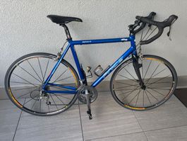 Price Rennvelo, Carbon Gabel, Top Zustand