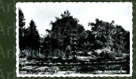 AK sw Bienne BE Biel, Ville moderne, le Parc ≈ 1959