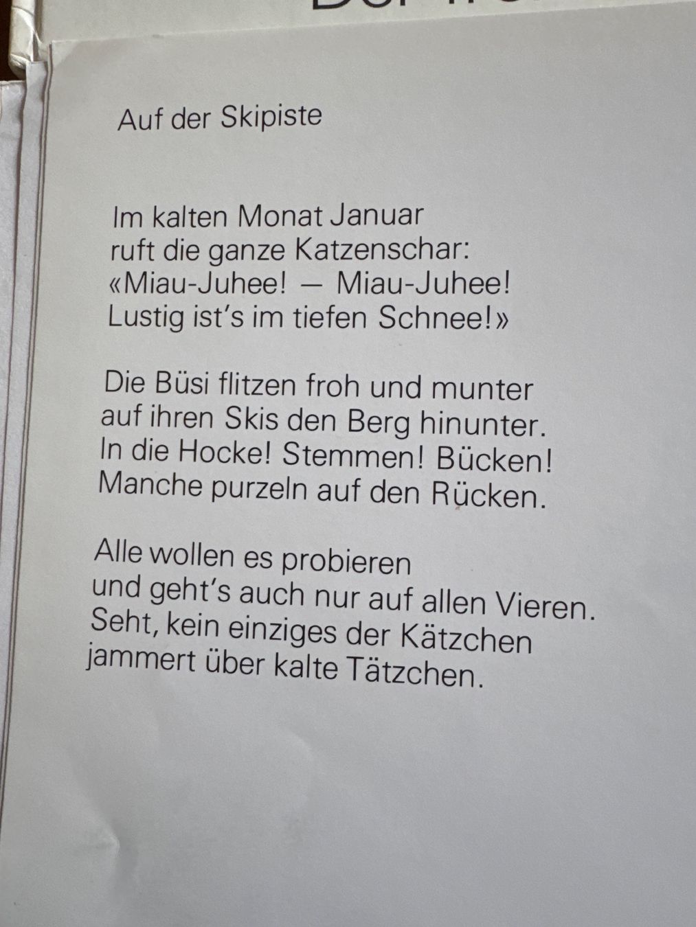 Libri: 6 Kinderbücher, das Katzenjahr – Usato da Stadel venduto da Bambus59 3