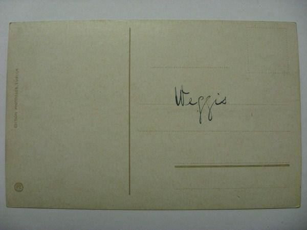 Cartoline postali: AK  Weggis – Usato da Gundetswil venduto da Egro01 1