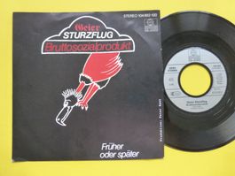 Geier Sturzflug – Bruttosozialprodukt