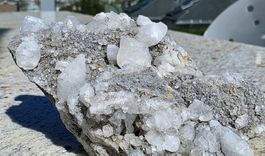 Weisse, klare Calzit Skalenoeder auf dunklem Muttergestein.
