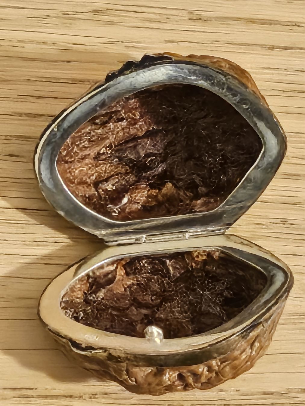 Sonstige Dekorationen & Accessoires: Nussdose, Walnussdose,Tablettendose, Silberdose 925 Silber – Gebraucht aus St. Gallen von Cocos_Ricardo 4