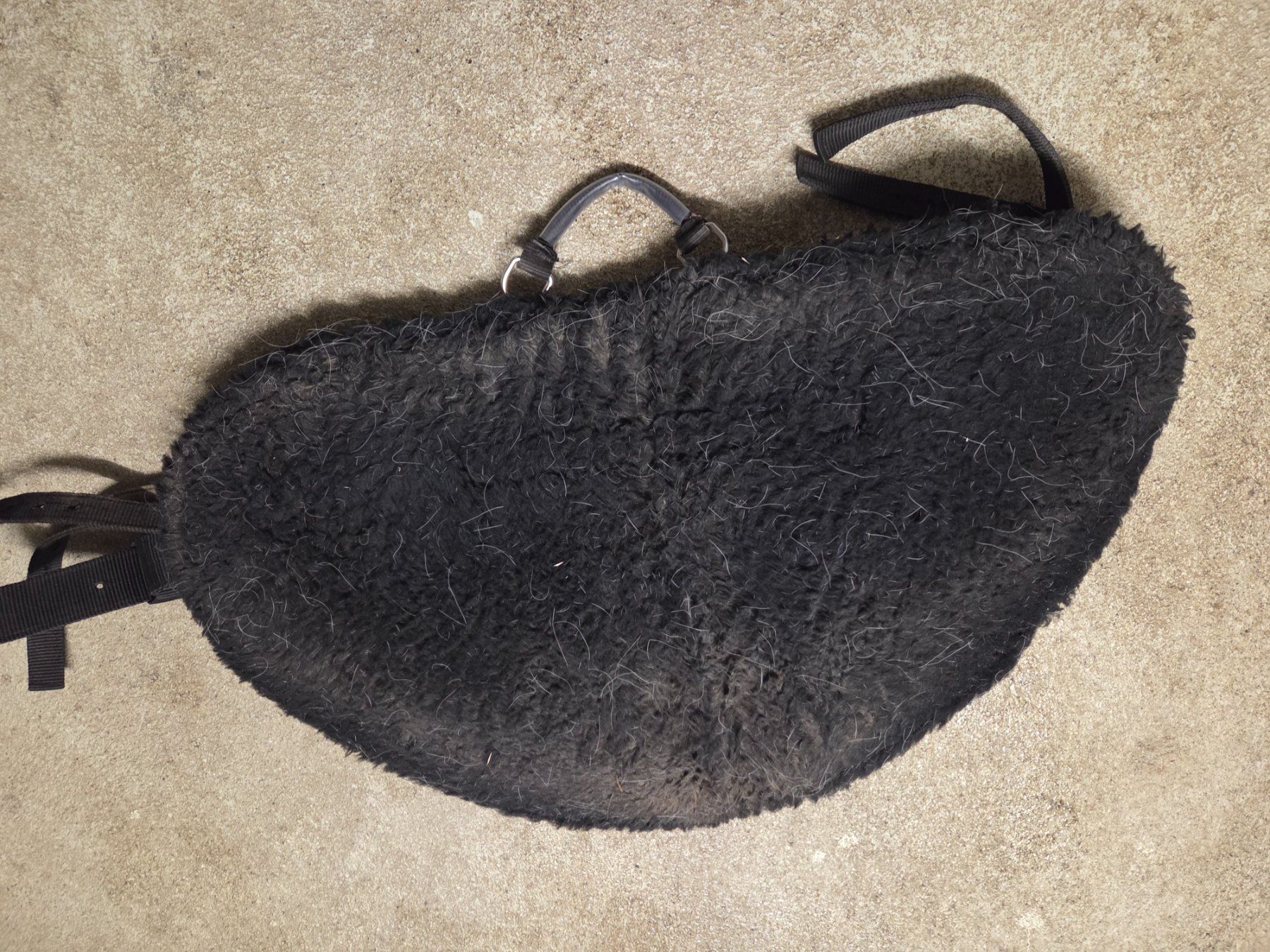 Selle & Accessori: Reitkissen Bare-Back, Ponysattel – Usato da Safenwil venduto da tupfli75 1