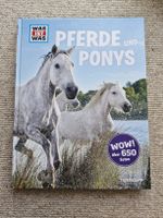Pferde und Ponys