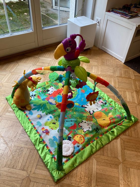 Spielbogen Dschungel Fisher Price | Kaufen auf Ricardo