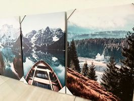 Wandbild 105x50 cm Naturidylle 3er Set mit Rahmen