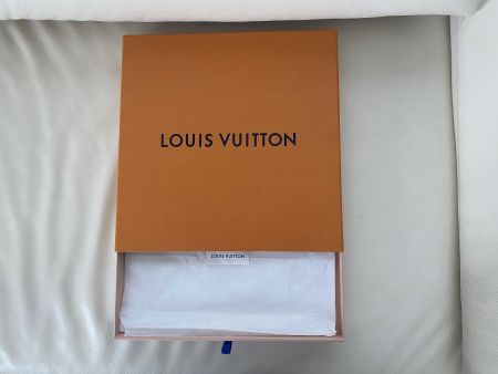 grosse geräumige LOUIS VUITTON Box, 33x33x3cm