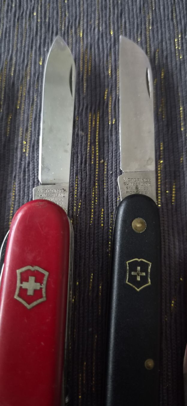 Victorinox Coltelli tascabile: 3 Victorinox 1 Wenger – Usato da Bern venduto da BullseyeCH 2