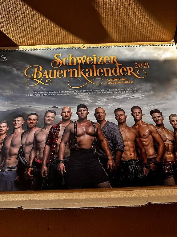 Calendari: Schweizer Bauernkalender – Usato da Mosnang venduto da Pontiac011 4
