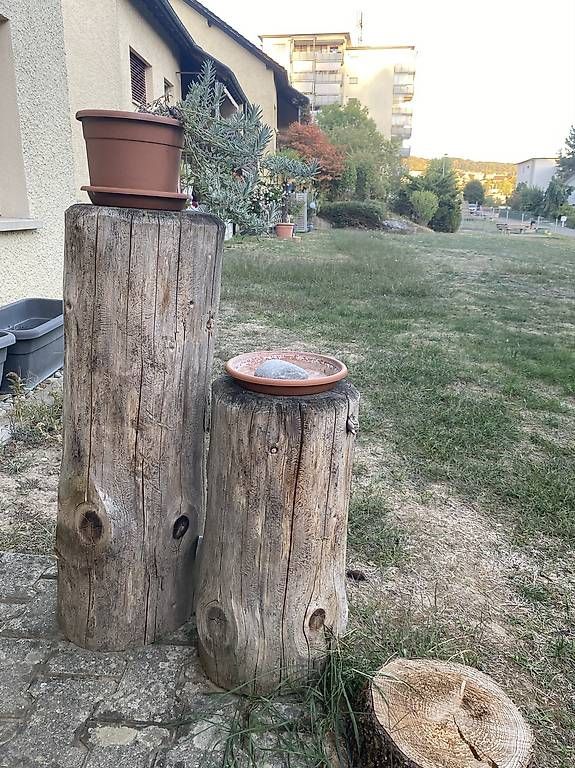 Articoli in legno: Baumstämme – Usato da Niederrohrdorf venduto da nat_p7qz