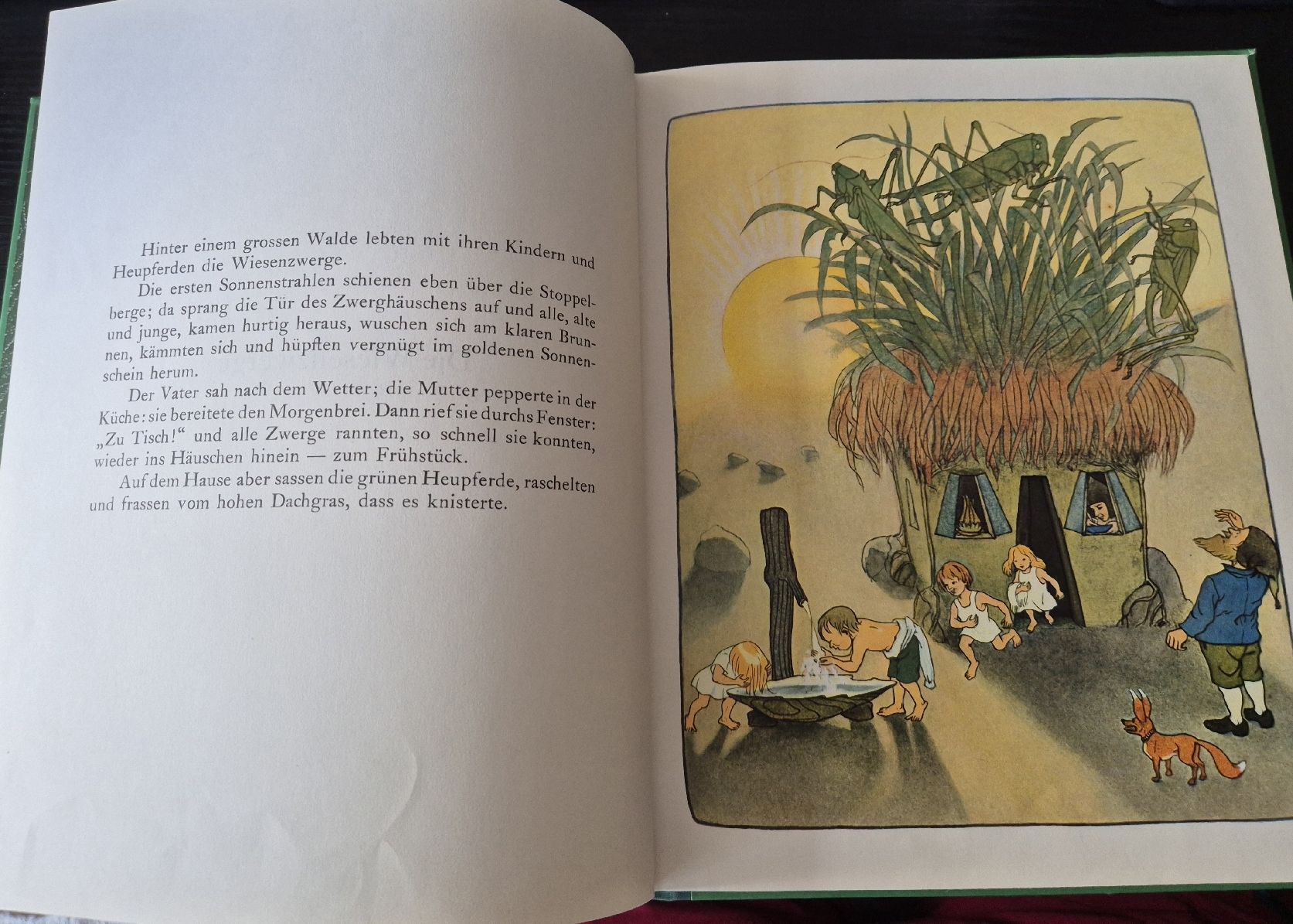 Libri: Die Wiesenzwerge 1977 – Usato da Rieden AG venduto da Hema55 2