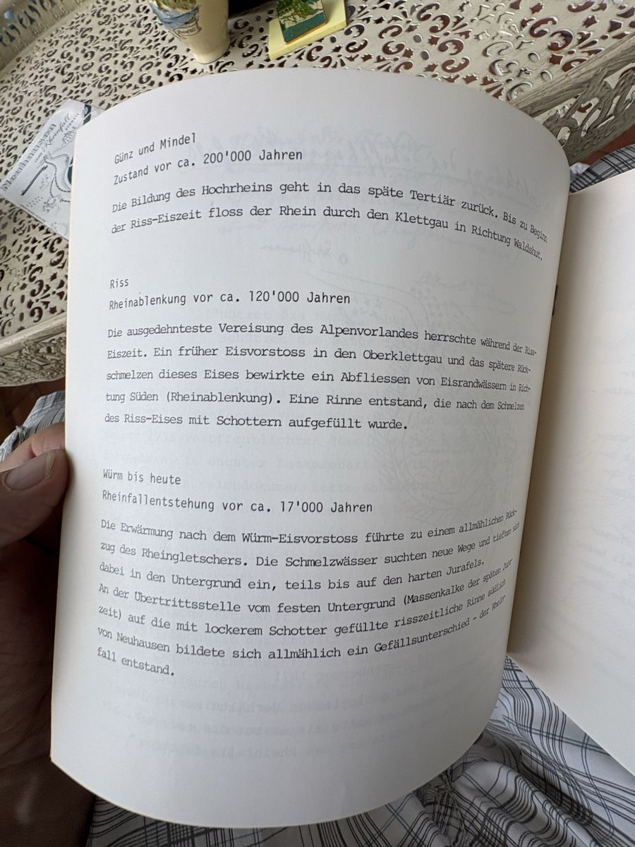 Documenti: Souvenirs von Rheinfall – Usato da Schaffhausen venduto da Reporter 4