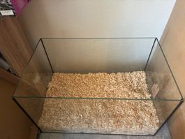 Kaum gebrauchtes Aquarium 30x30x50 mit 4mm dicken Glas