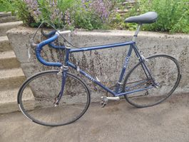 Altes Rennvelo
