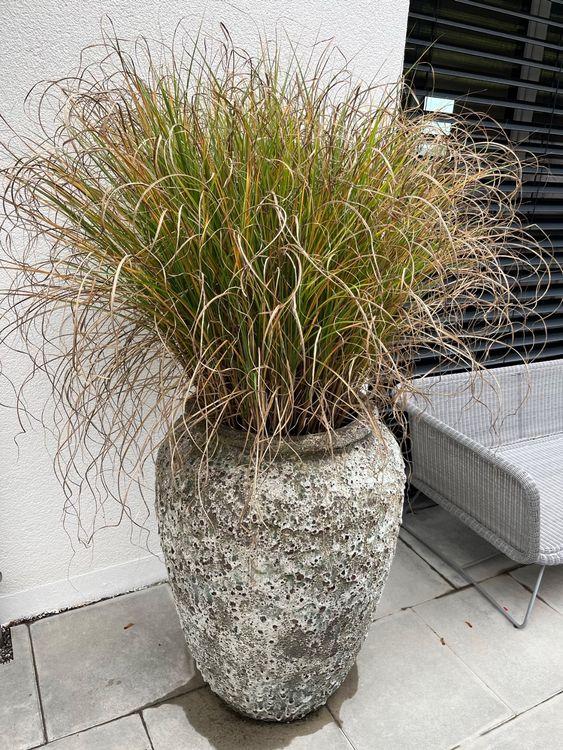 Grosser Naturstein Pflanzen Topf Kübel winterhart Behälter Kaufen auf