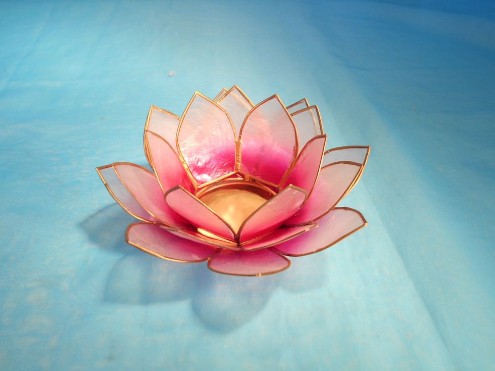 Teelicht Lotusblume pink Kaufen auf Ricardo
