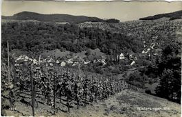 Wintersingen BL Flugaufnahme Nr.2331 , 1940