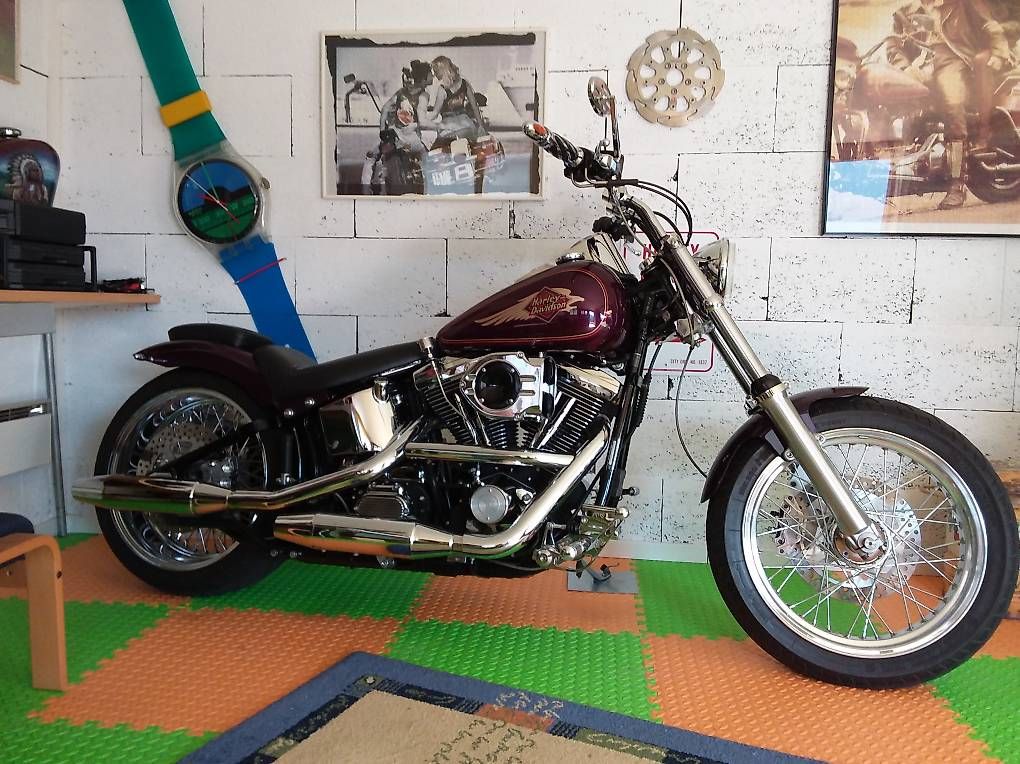 Harley-Davidson Altro: Harley Davidson FXSTC Softail EVO – Usato da Oberried Brienz venduto da kurs57