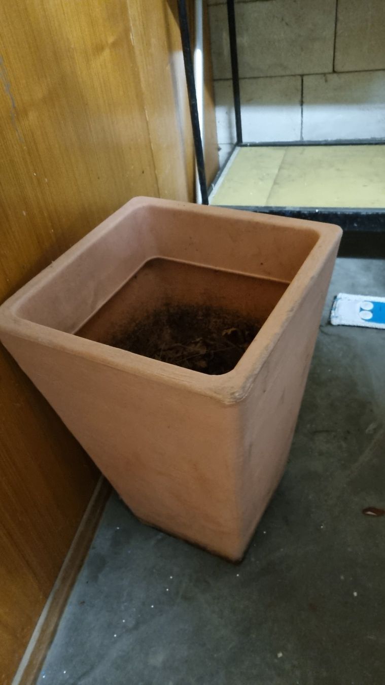 Vasi & Recipienti: Vase – Usato da Basel venduto da Cellostoffeli 2