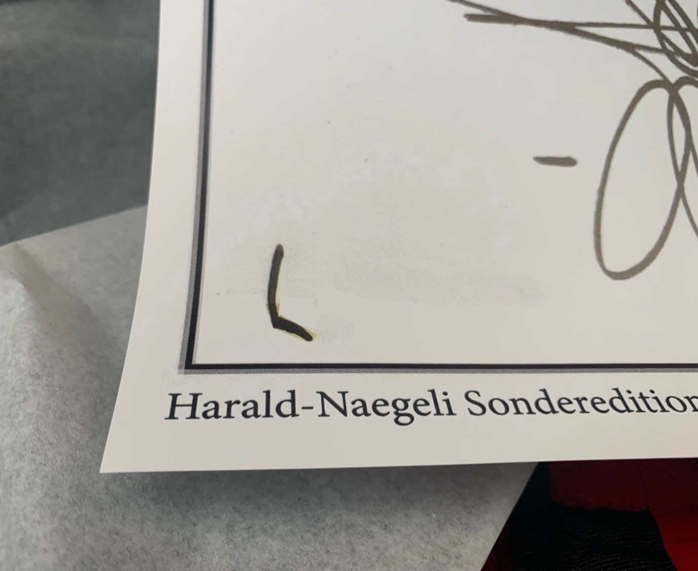 Foto & Immagini: Handsigniertes Plakat Harald Naegeli 2017 Edition 40 Ex. – Usato da Bern venduto da Artbrokerswitzerland 2