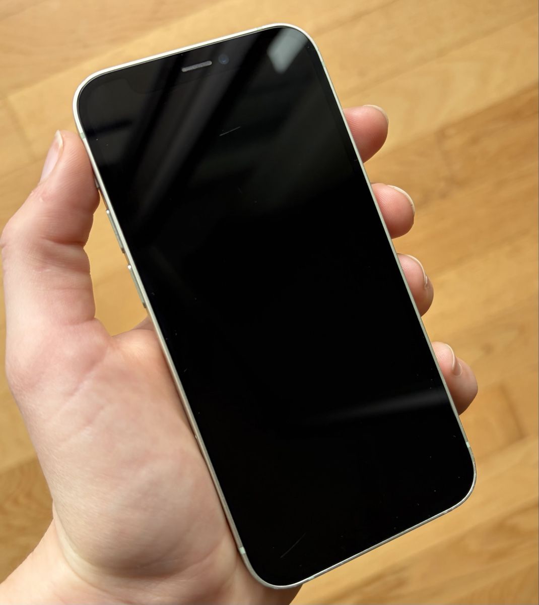 Apple Telefoni cellulari / Smartphones: Iphone 12 Mini (128 GB; Green) – Usato da Luzern venduto da MarinUndMegan 1