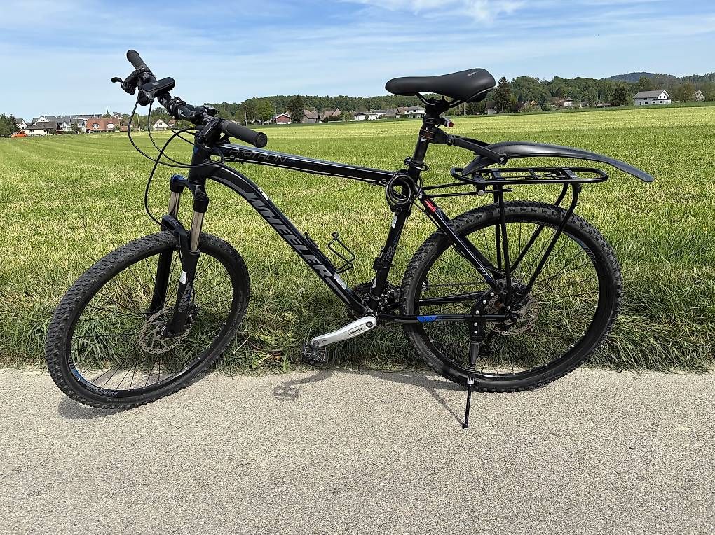 Wheeler Biciclette: Wheeler Protron 320 – Usato da Oberönz venduto da pescita 1