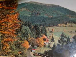 Ansichtskarte Gasthof Haldenhof - Neuenweg Deutschland