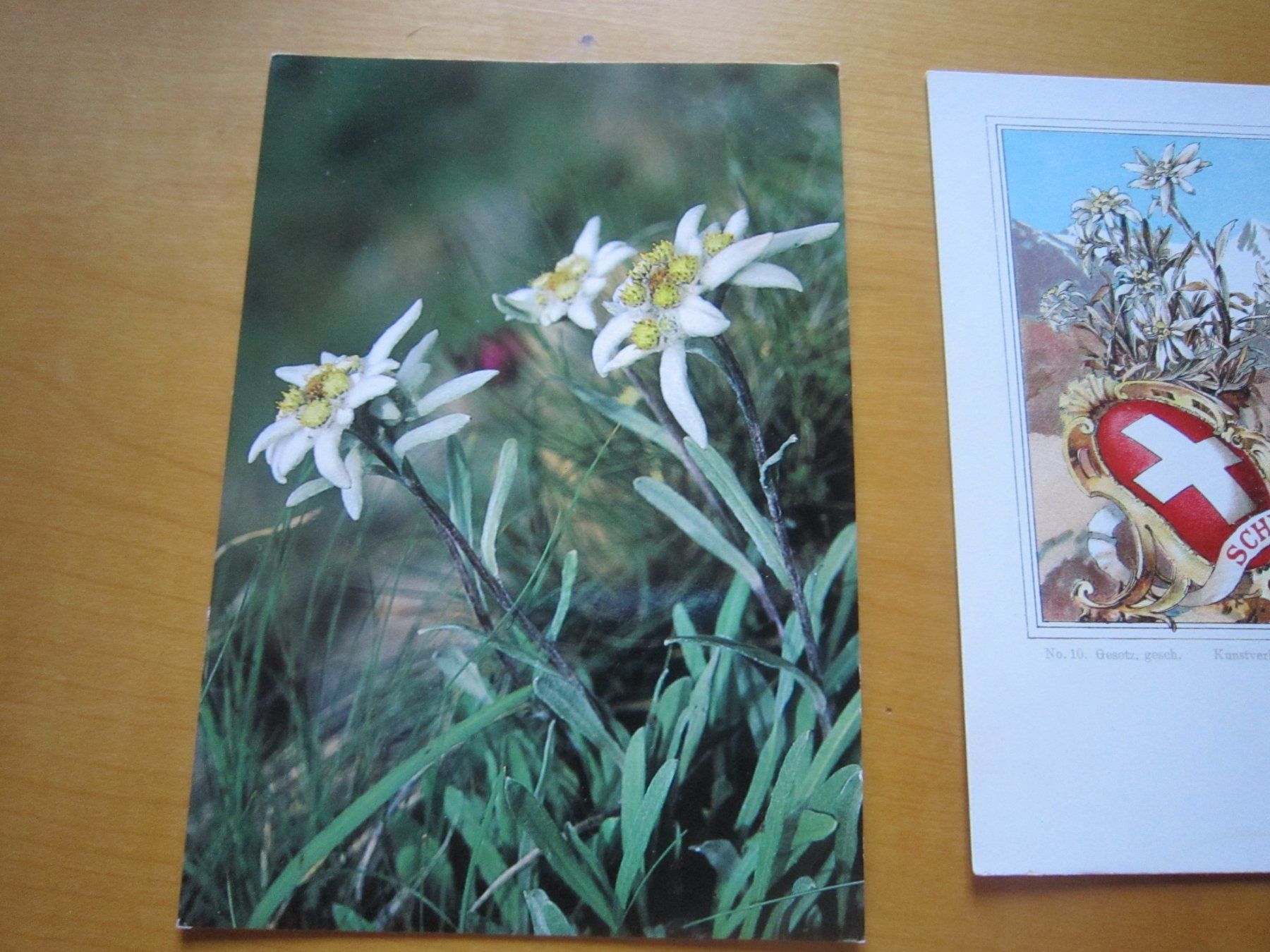 Cartoline postali: No 2 Postkarten Edelweiss verschiedene Perioden – Usato da Gordola venduto da Polentaefung 3