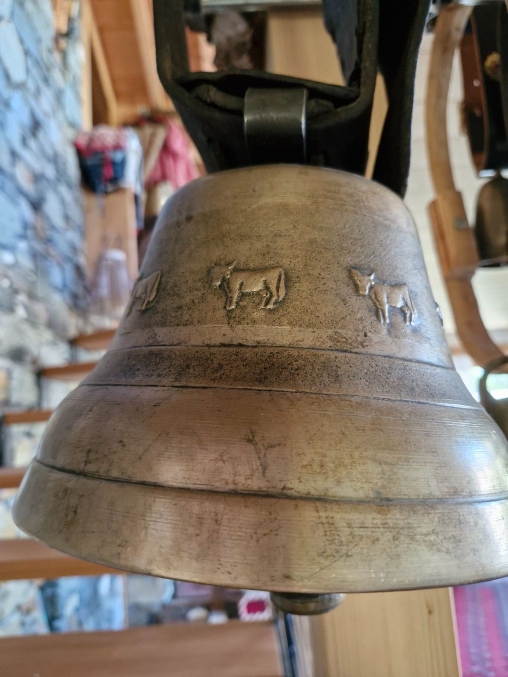 Campanacci mucche: Glocke Treichel – Usato da Guarda venduto da rue_bpd7 1