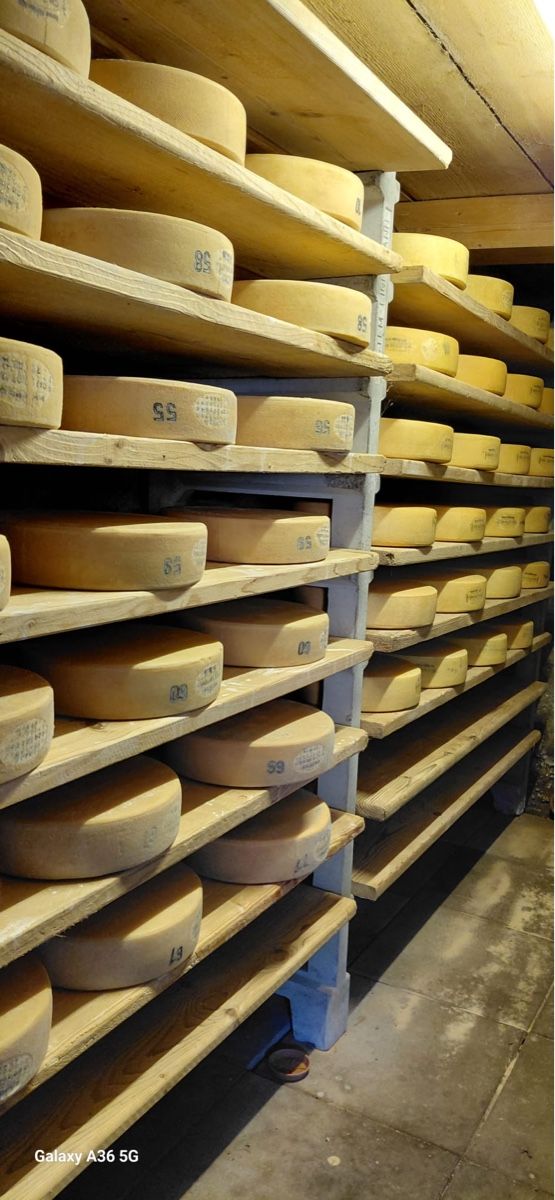 Cibi & Specialità: Alpkäse einjährig , Preis pro Kilogramm – Nuovo e nell'imballaggio originale da Gelterkinden venduto da Aischas 1