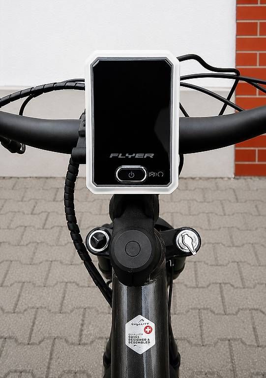 Biciclette: Hight Quality - Flyer E-Bike 25km/h – Usato da Winterthur venduto da NiciHas 1